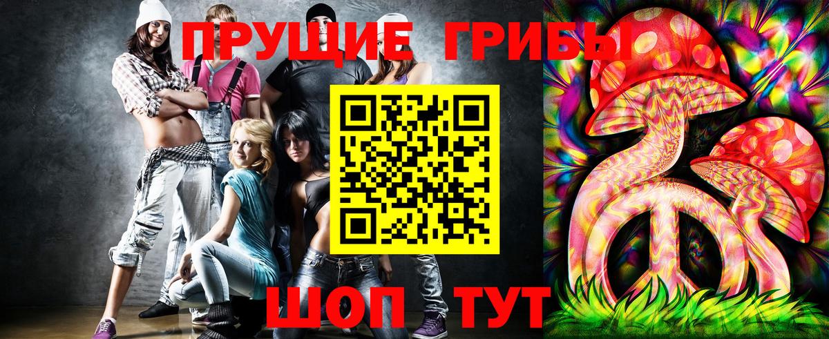 Мыски  Псилоцибиновые грибы Psilocybine cubensis  Вход с VPN 